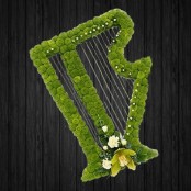 Harp In Green