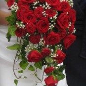 Red Rose Trailing Bridal