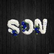 Spurs - SON28