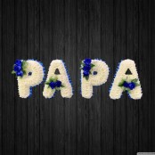 Papa - DAD71